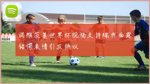 诺维茨基世界杯现场支持瑞典面露错愕表情引发热议