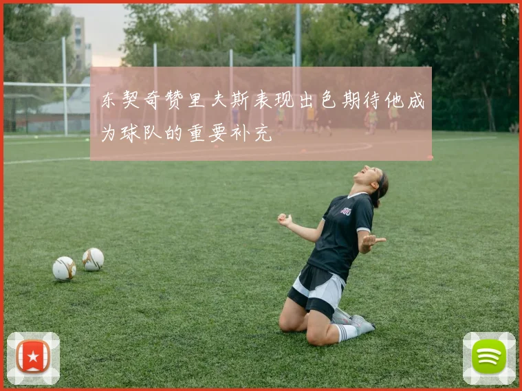 东契奇赞里夫斯表现出色期待他成为球队的重要补充